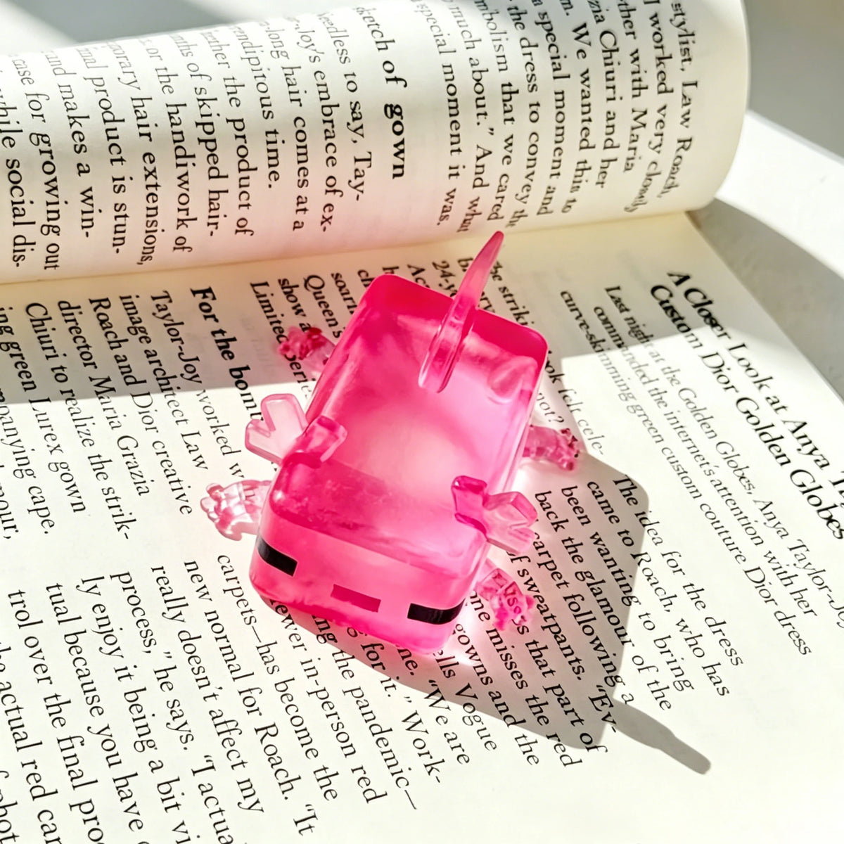 🩷 Lottie the Axolotl