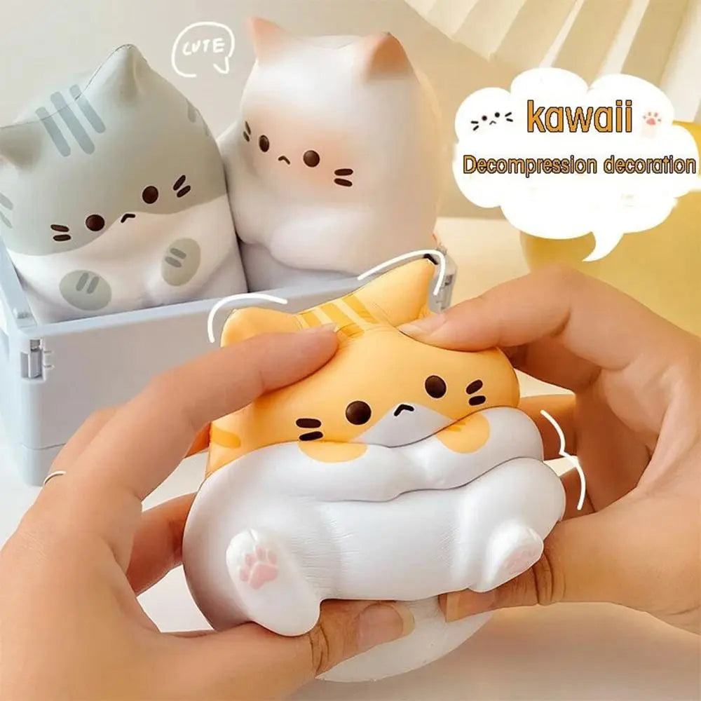 🐾 Miso & Mochi